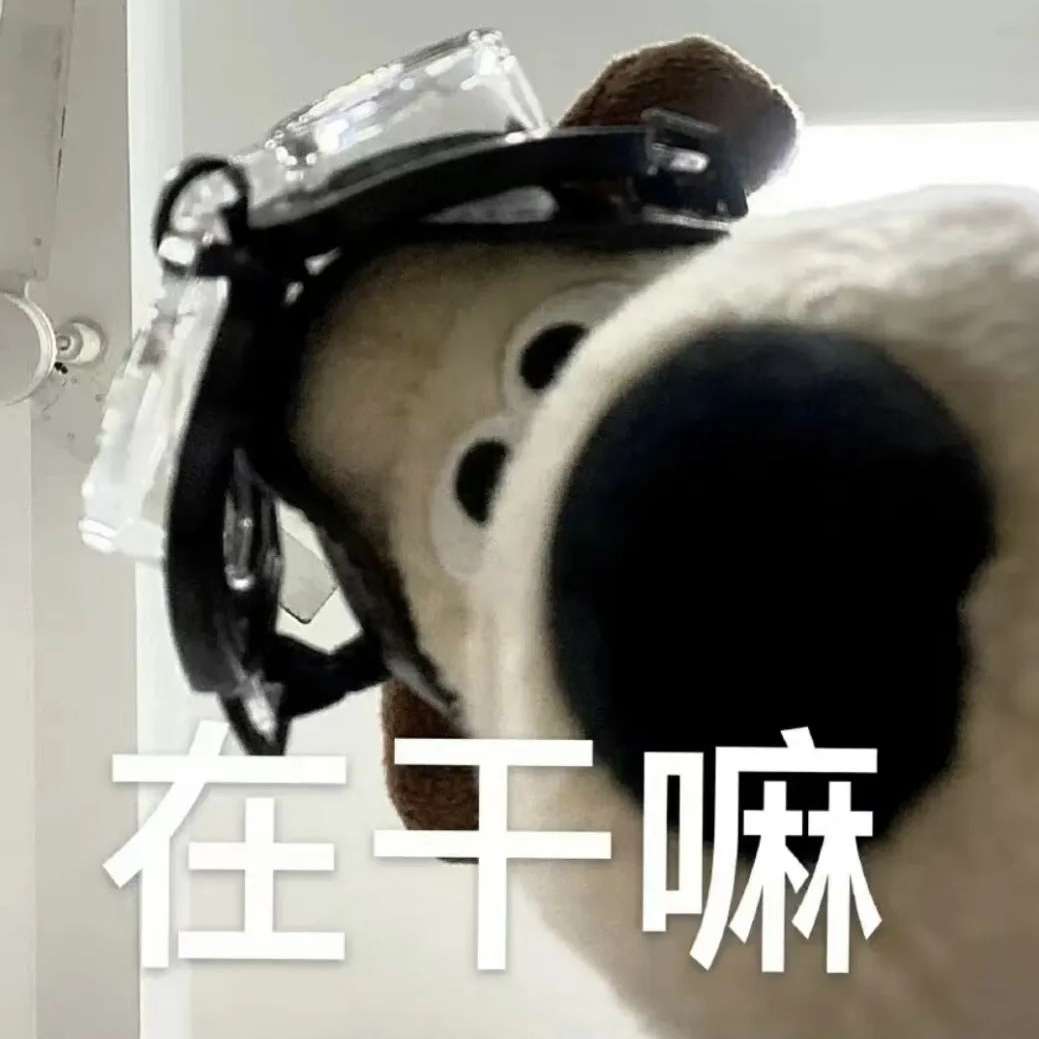 职位发布者头像