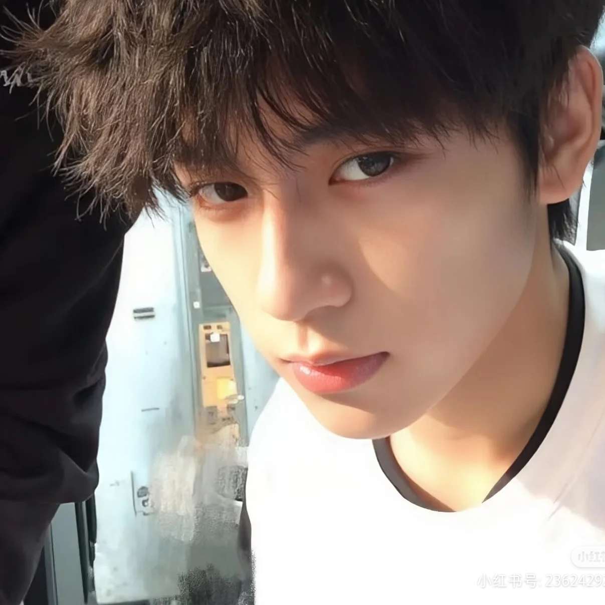 职位发布者头像