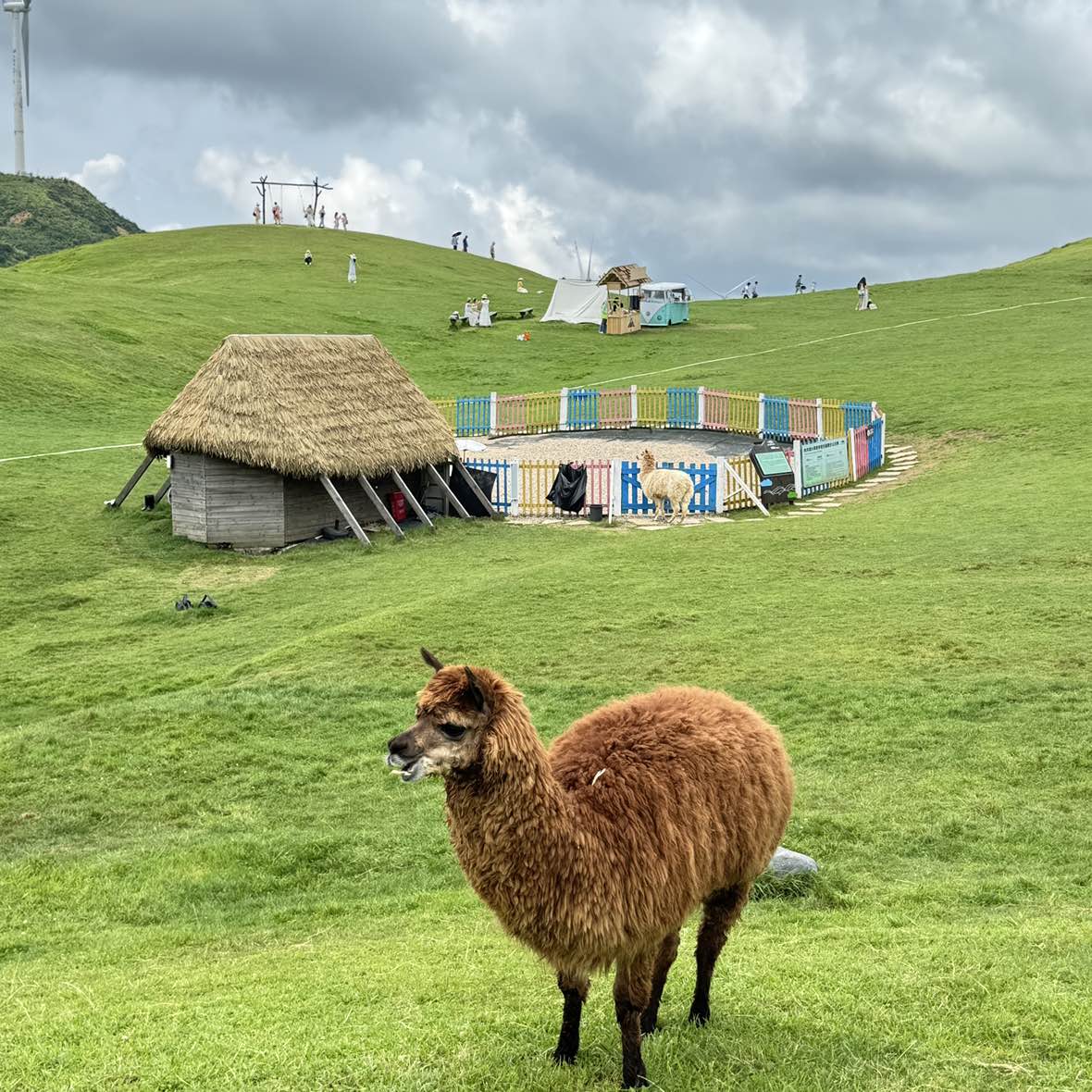 职位发布者头像