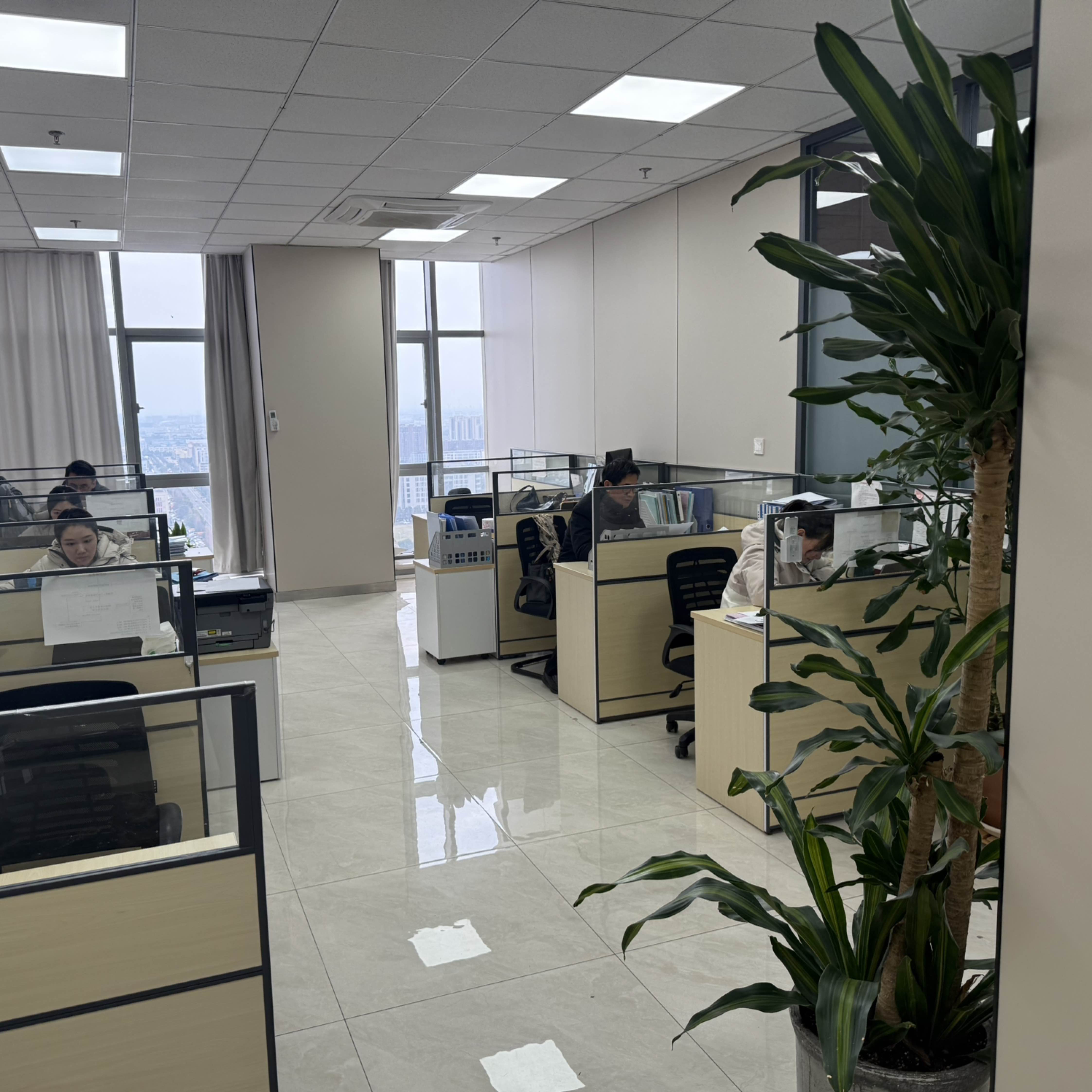 职位发布者头像