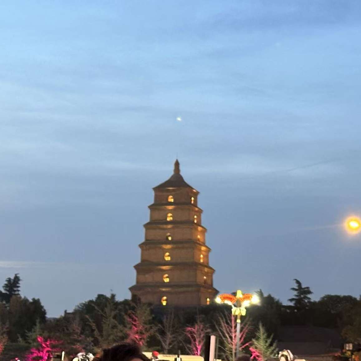 职位发布者头像