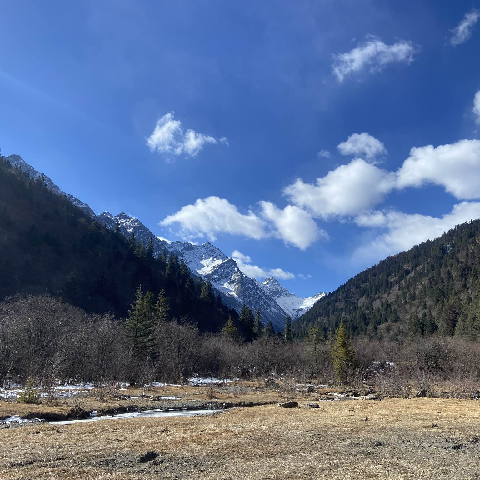 职位发布者头像