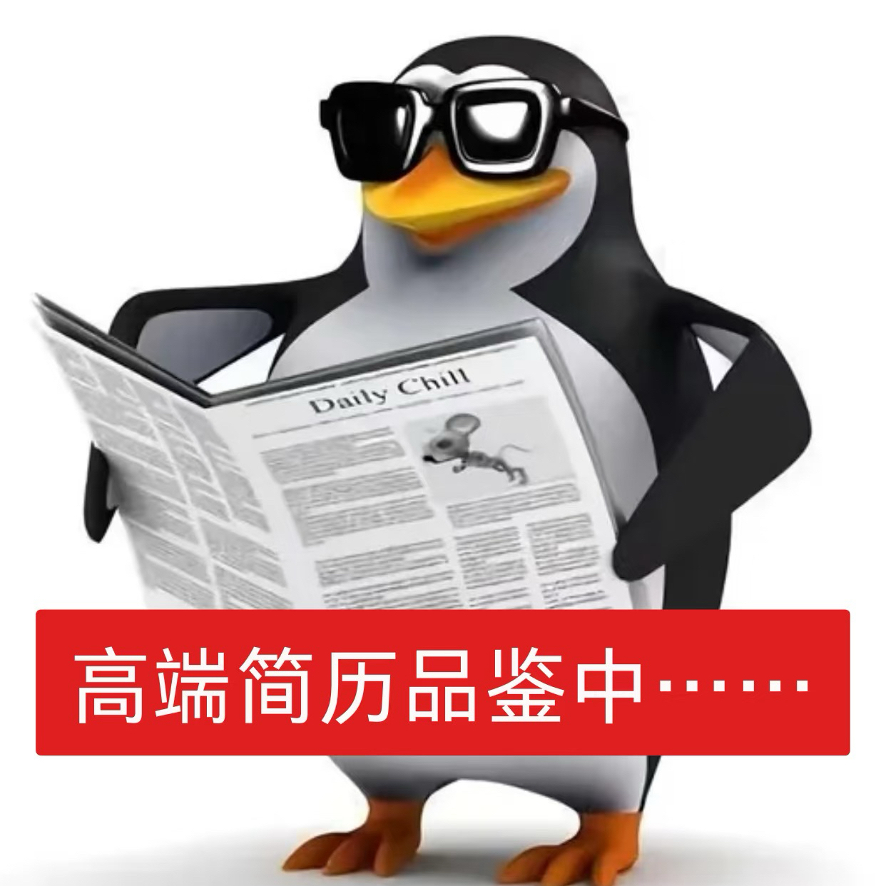 职位发布者头像