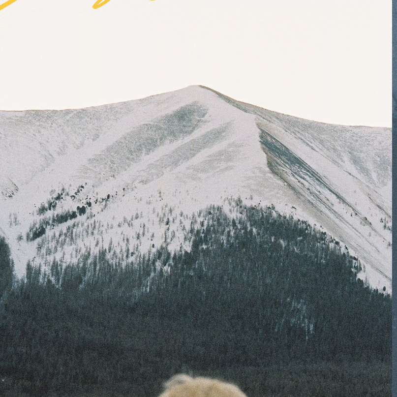 职位发布者头像