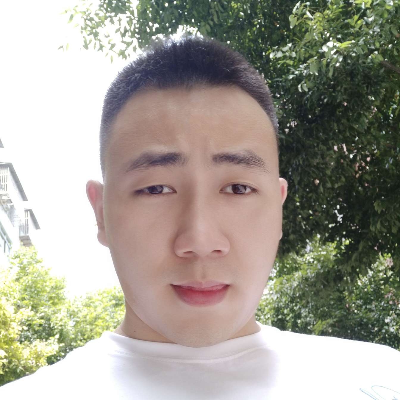 职位发布者头像