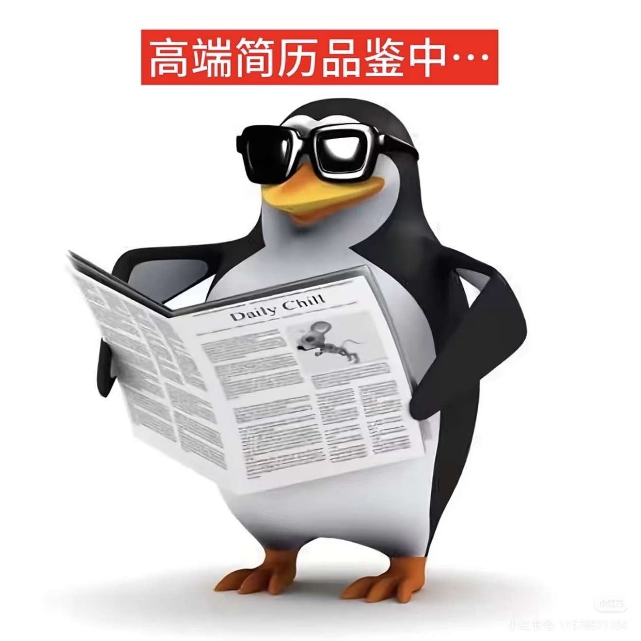 职位发布者头像