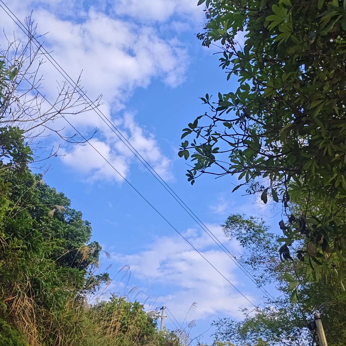 职位发布者头像