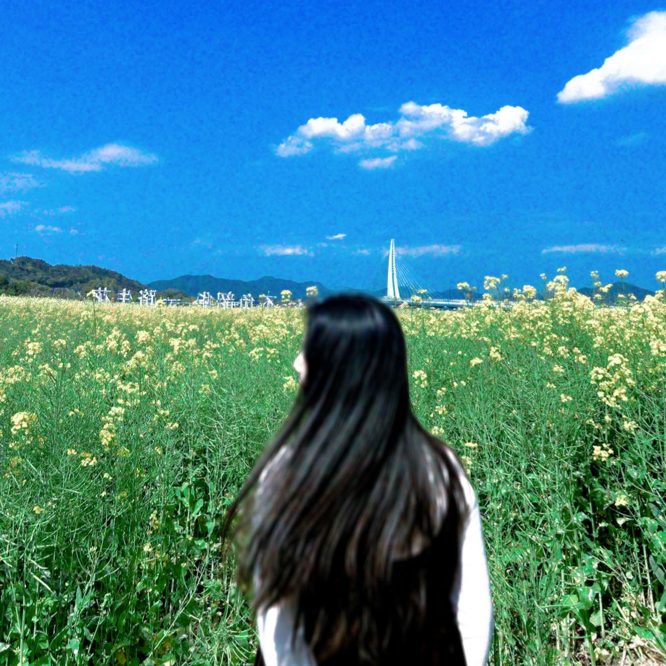 职位发布者头像