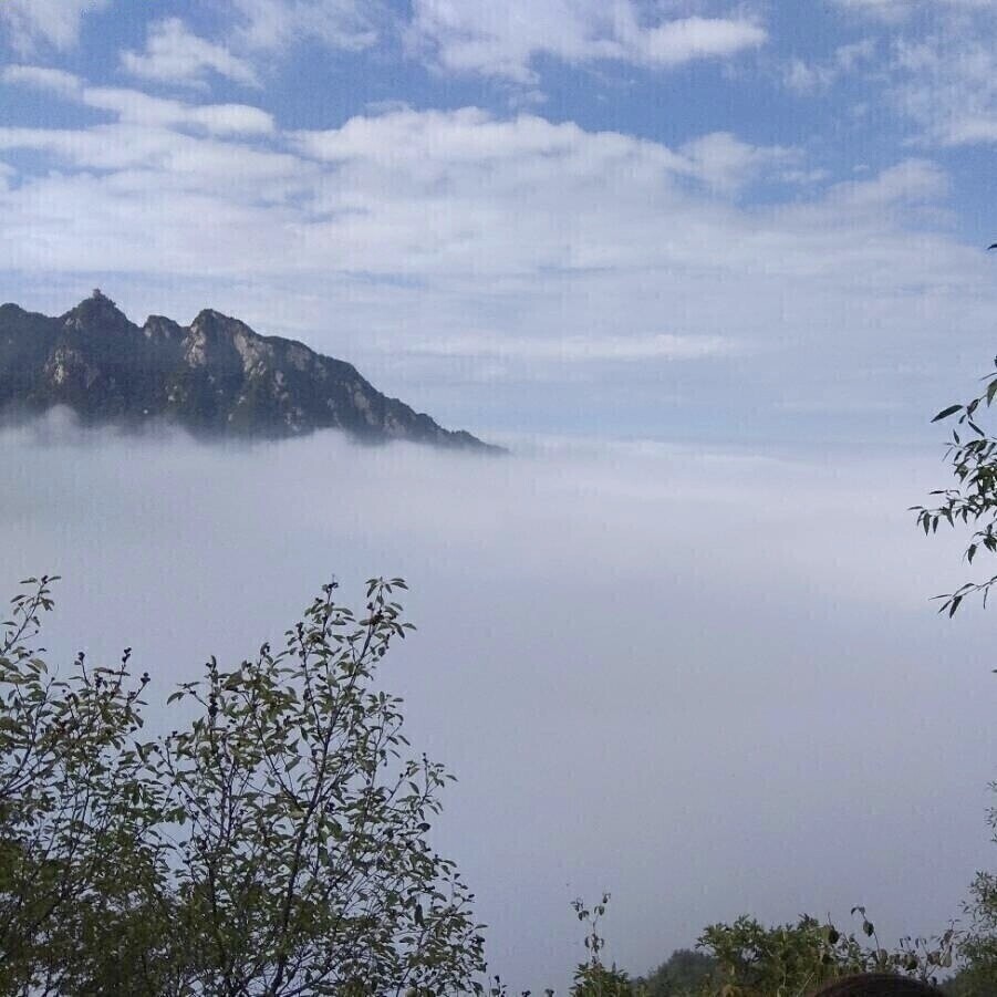 职位发布者头像