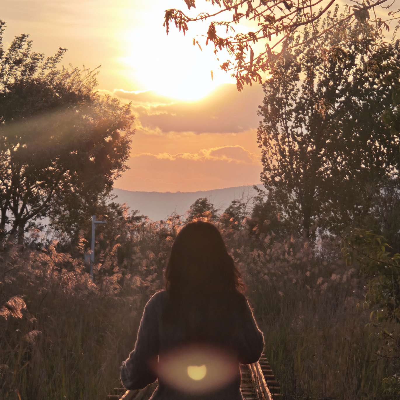 职位发布者头像