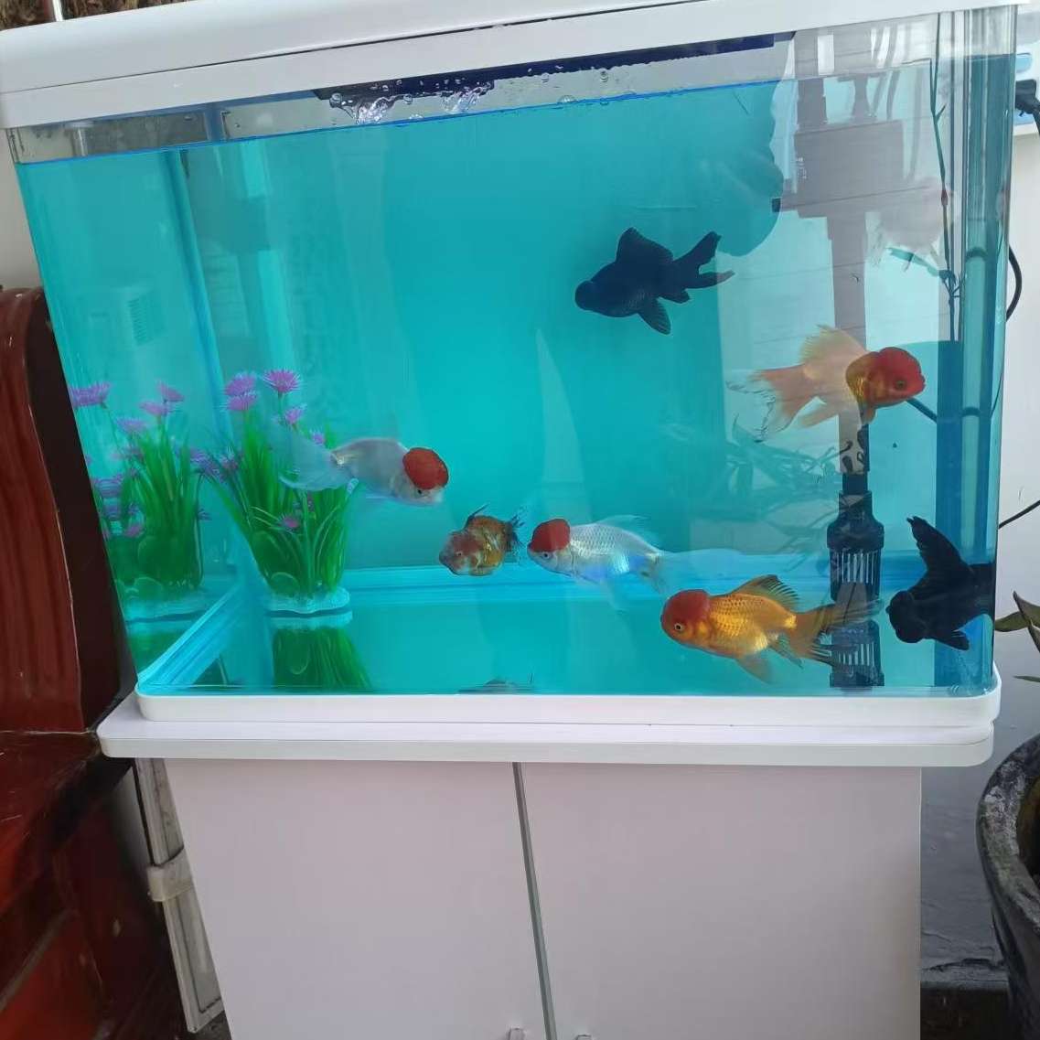 职位发布者头像