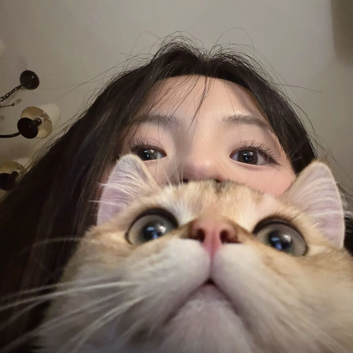 职位发布者头像