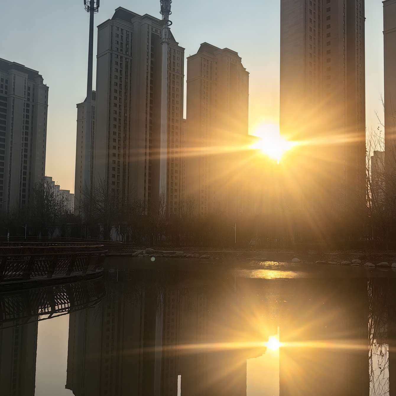 职位发布者头像