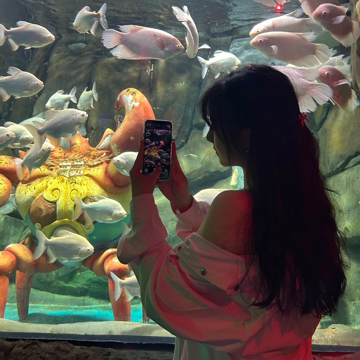 职位发布者头像