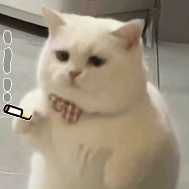 职位发布者头像