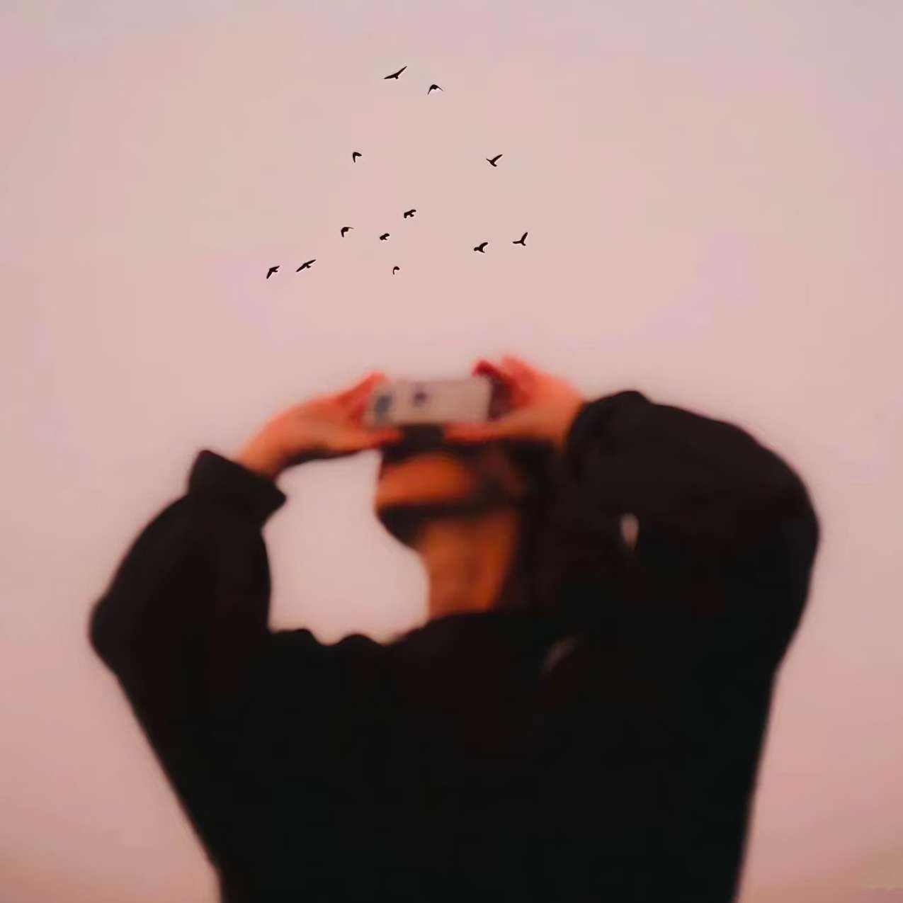 职位发布者头像