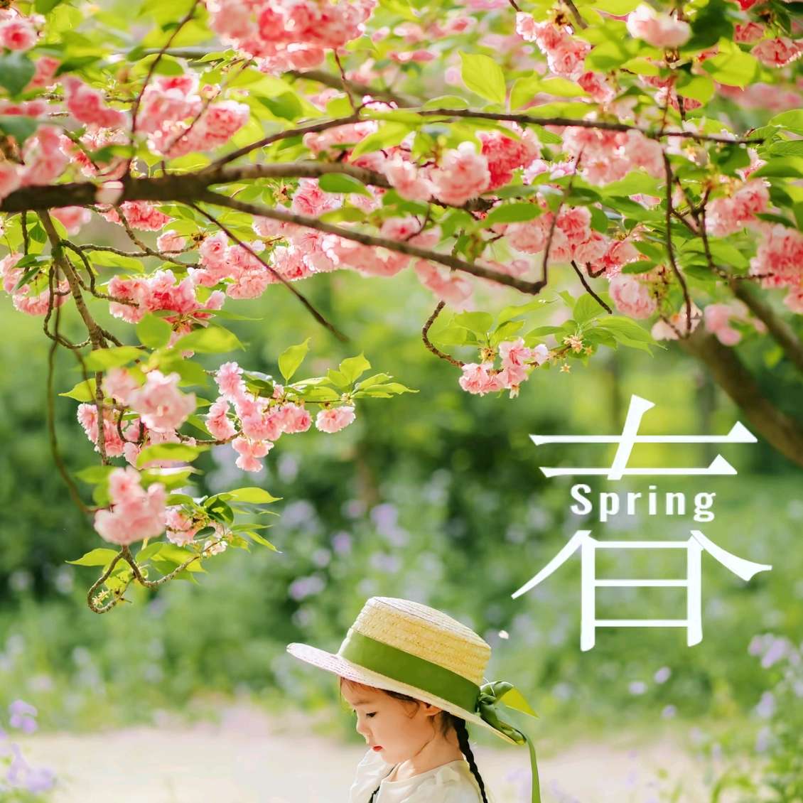 职位发布者头像