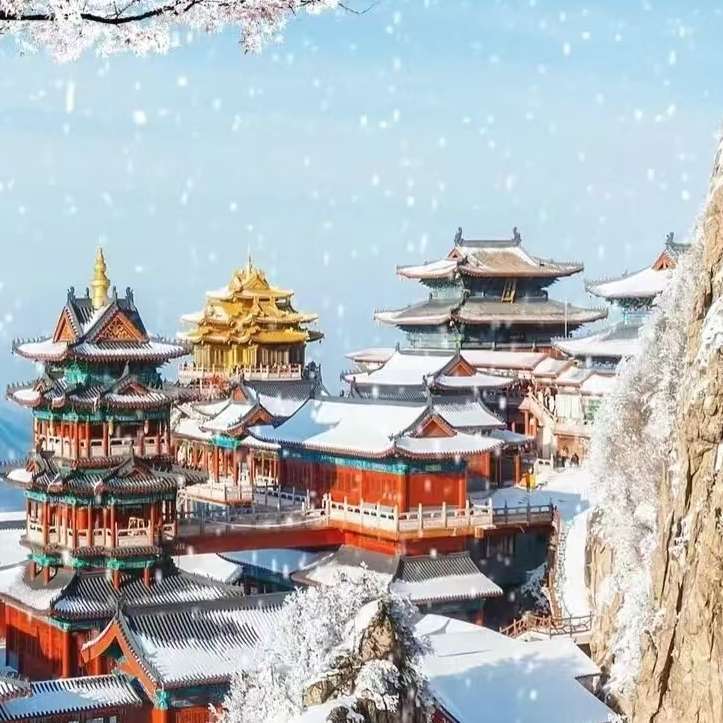 职位发布者头像