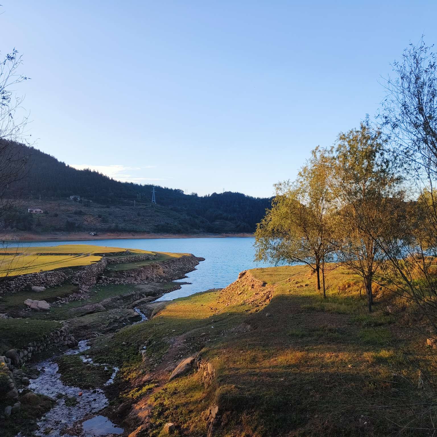 职位发布者头像