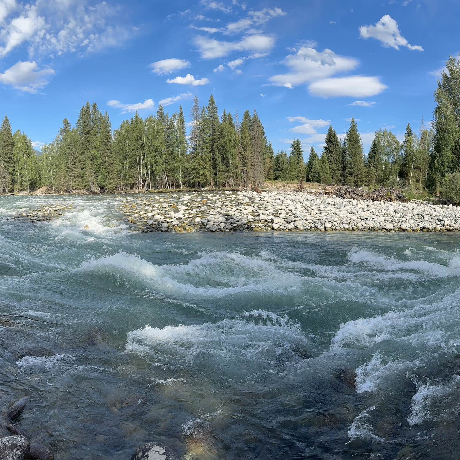 职位发布者头像