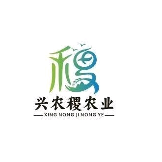 职位发布者头像