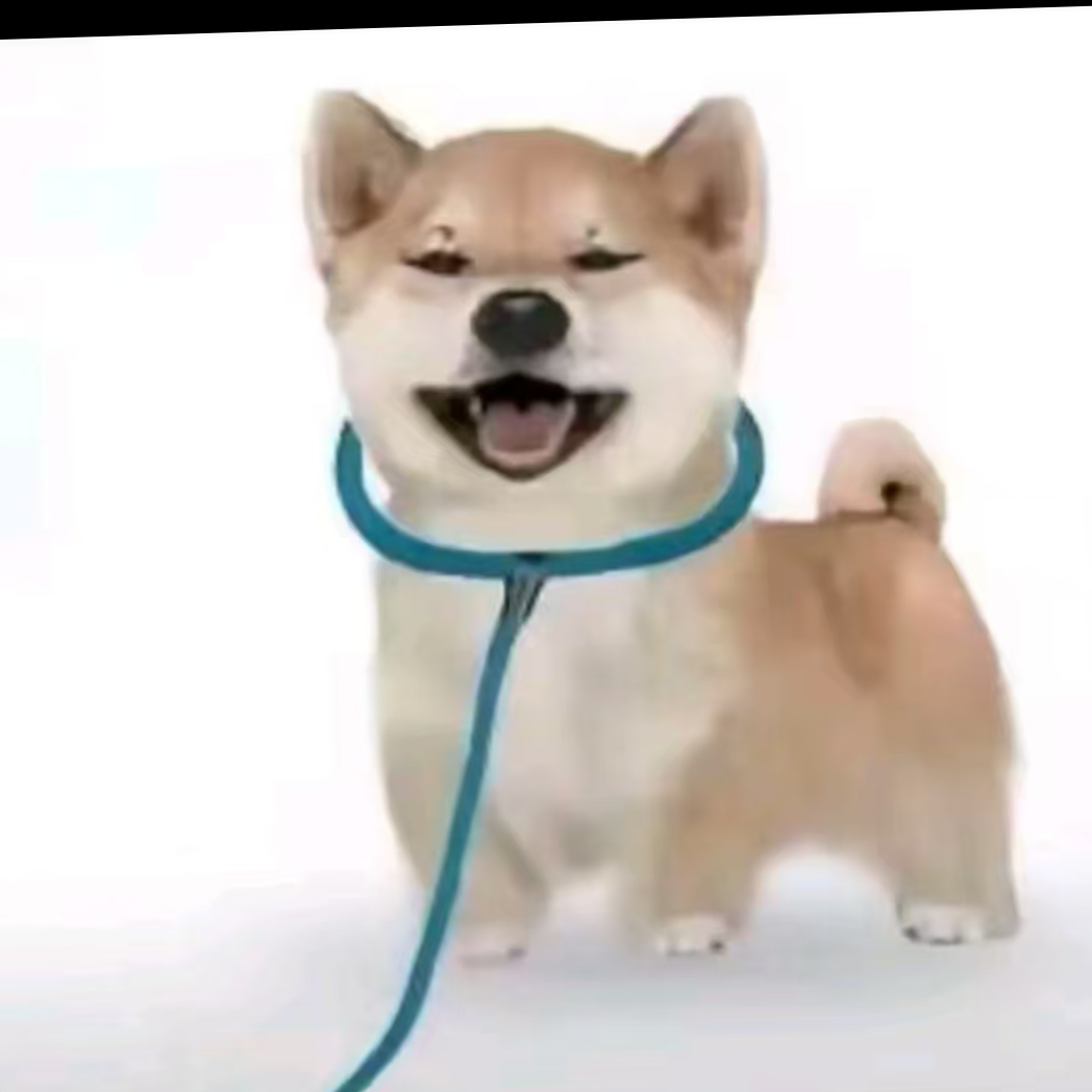 职位发布者头像