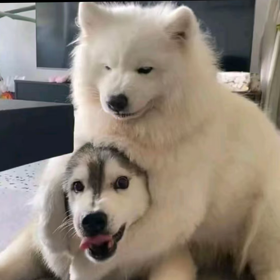 职位发布者头像