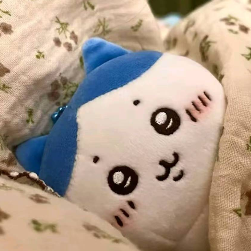 职位发布者头像