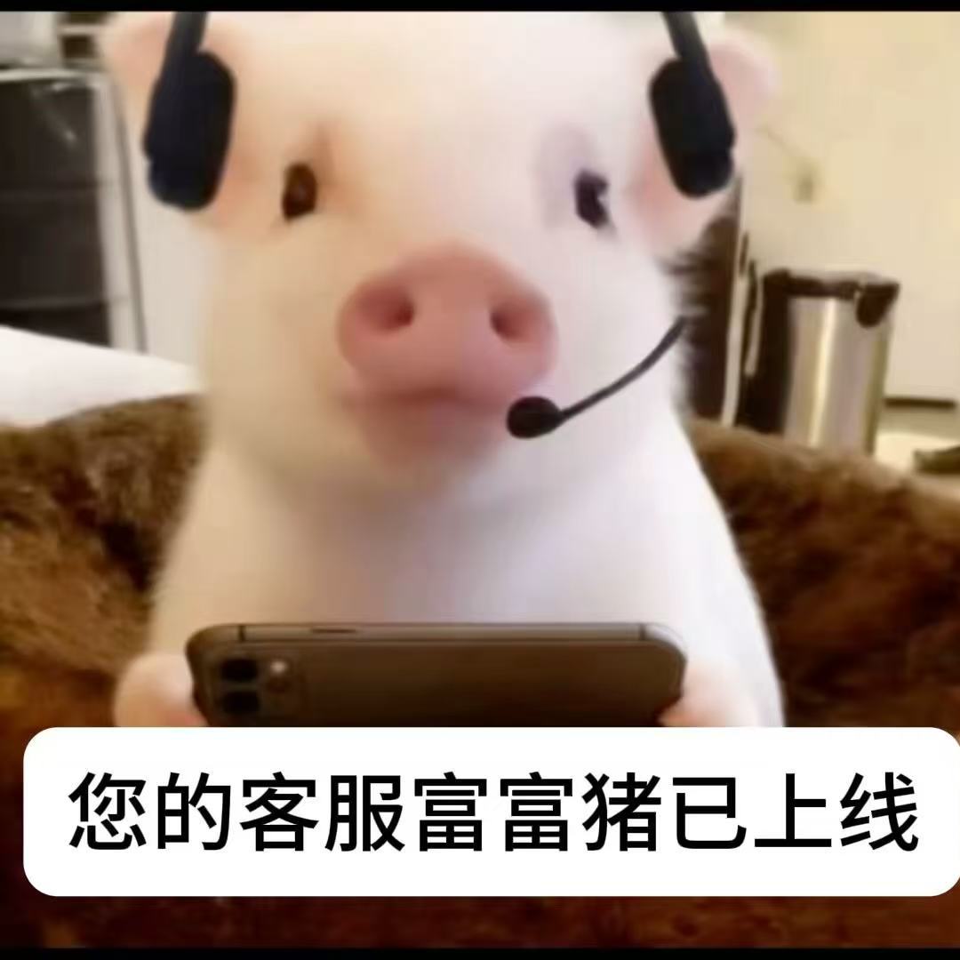 职位发布者头像