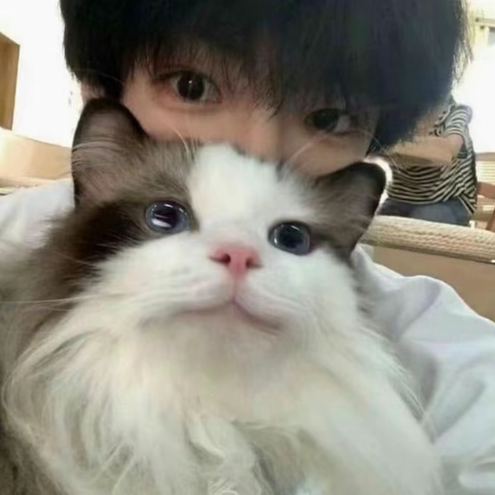 职位发布者头像