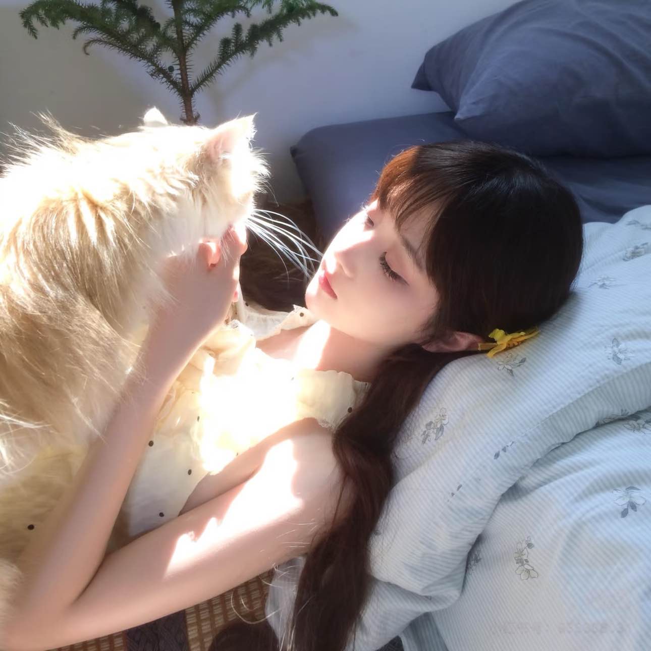 职位发布者头像