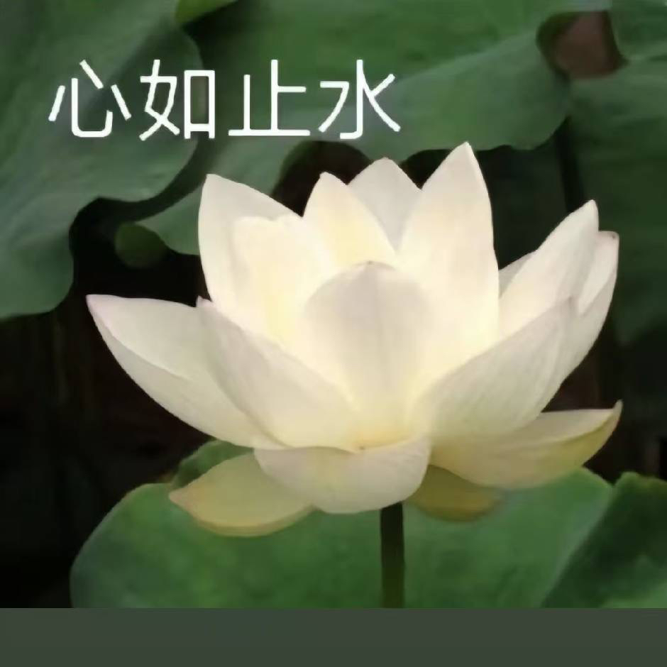 职位发布者头像