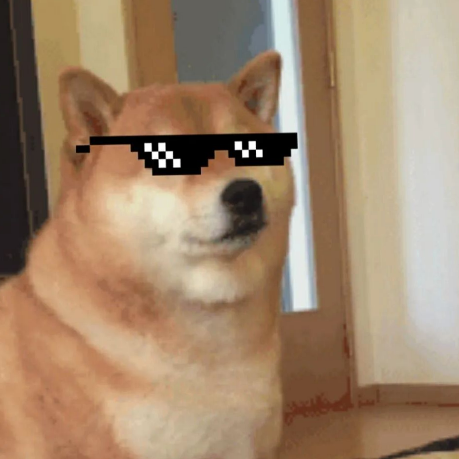 职位发布者头像