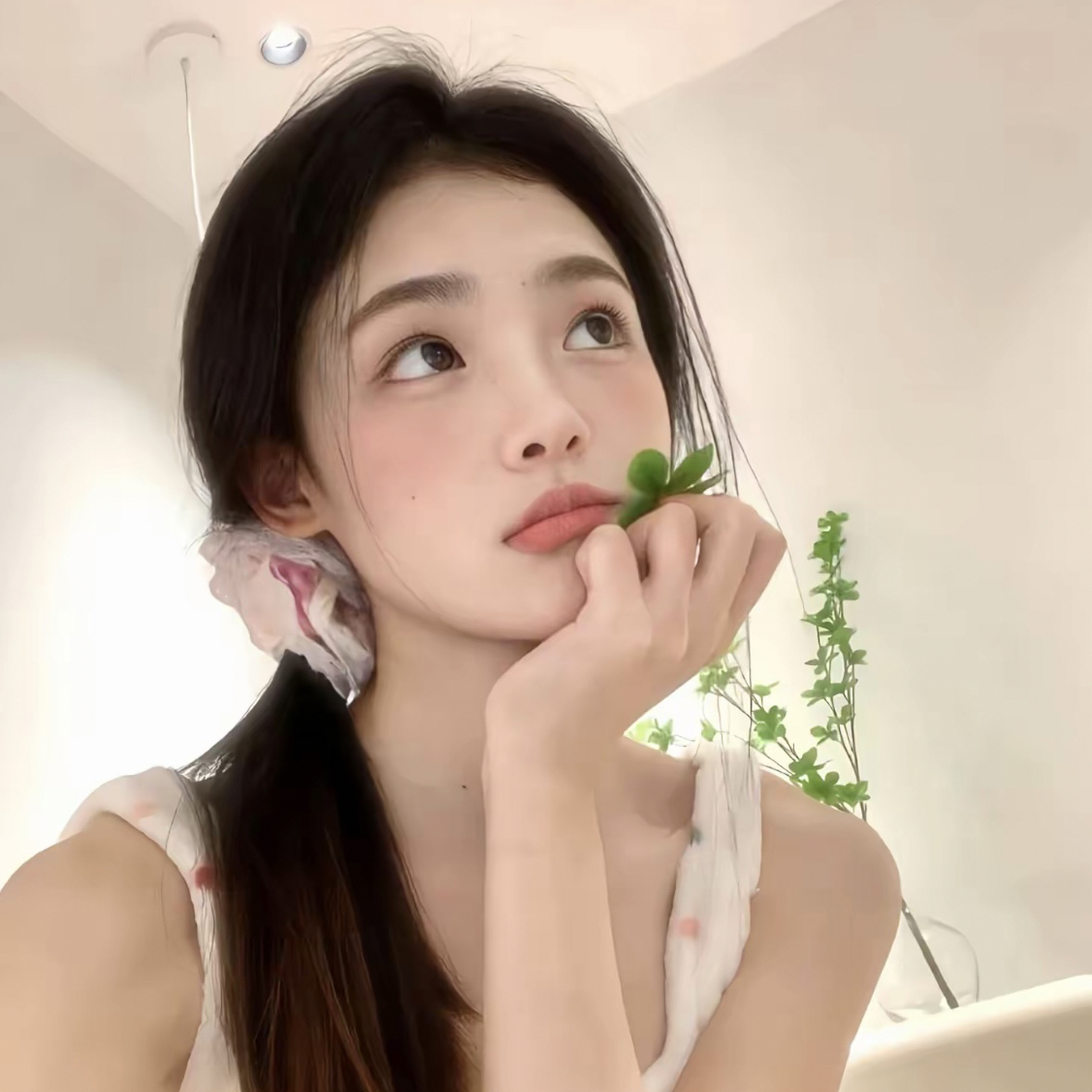 职位发布者头像