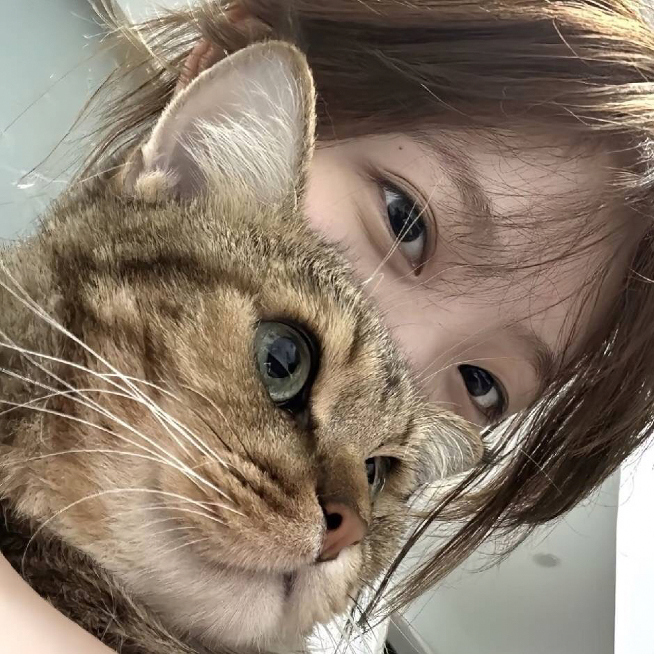 职位发布者头像