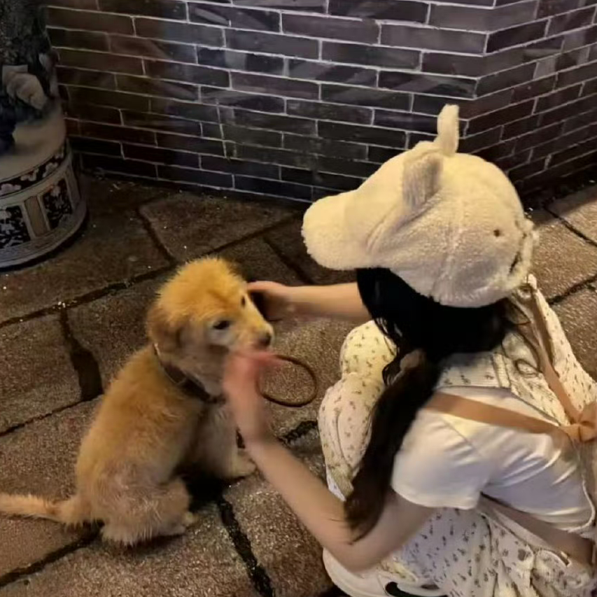 职位发布者头像
