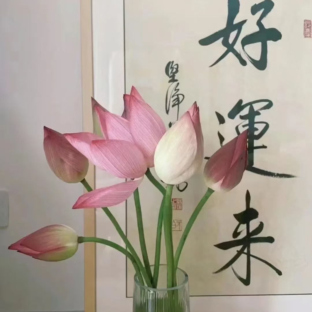 职位发布者头像