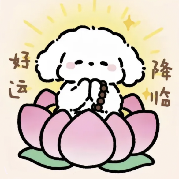 职位发布者头像