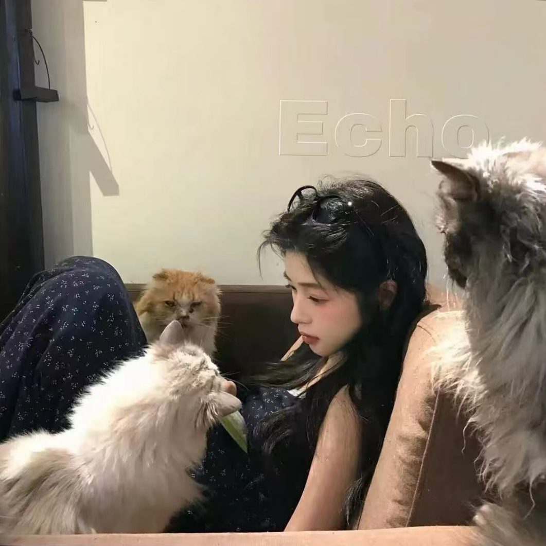 职位发布者头像