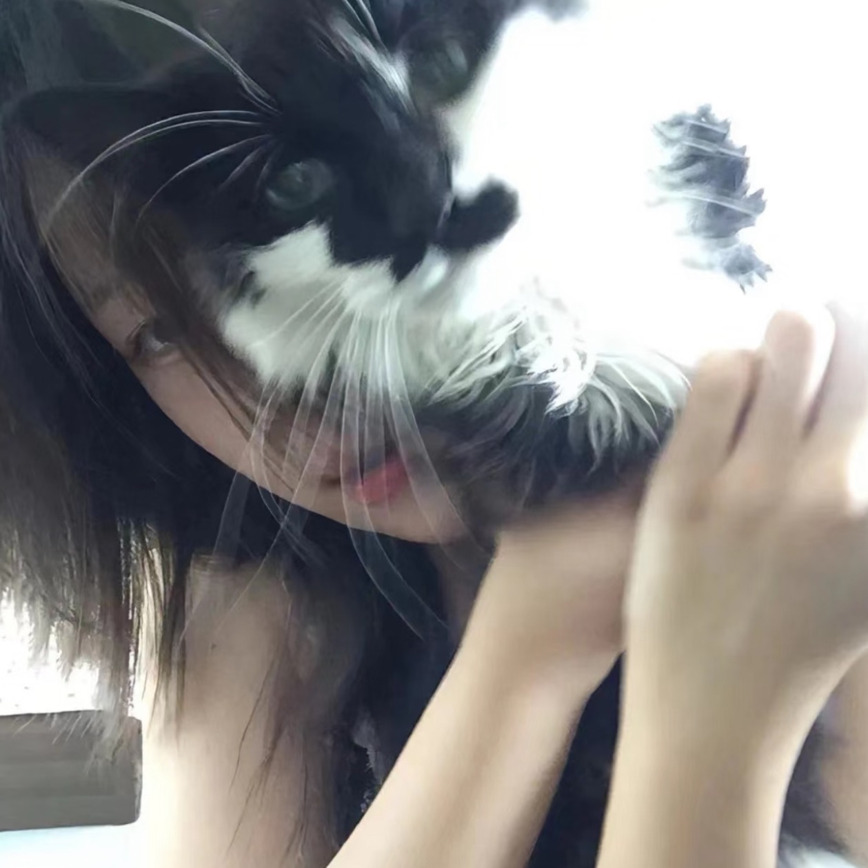 职位发布者头像