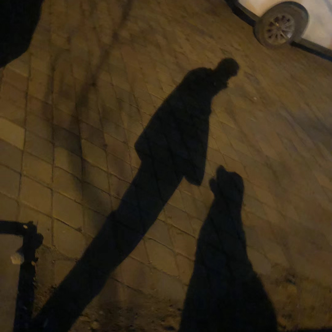 职位发布者头像
