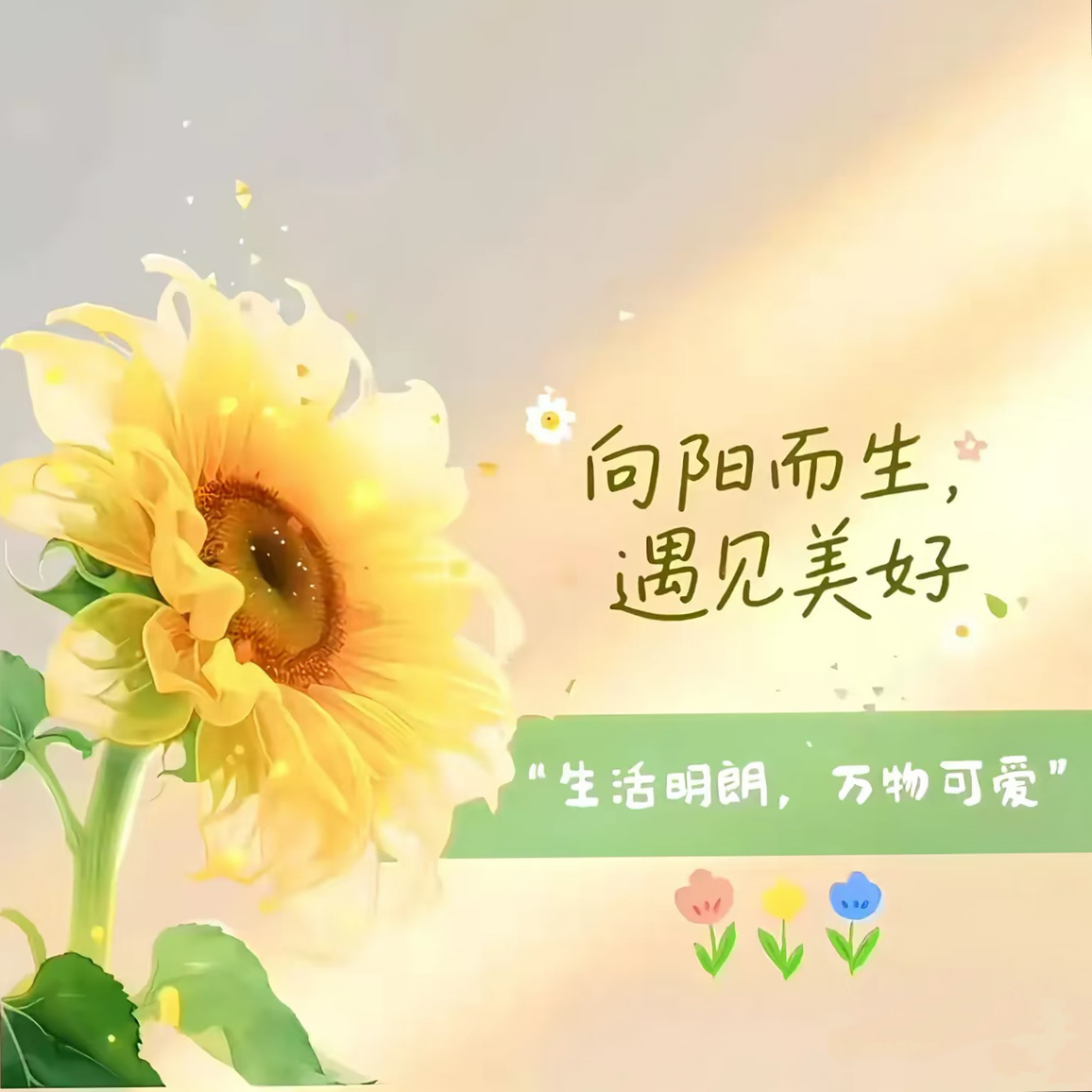 职位发布者头像