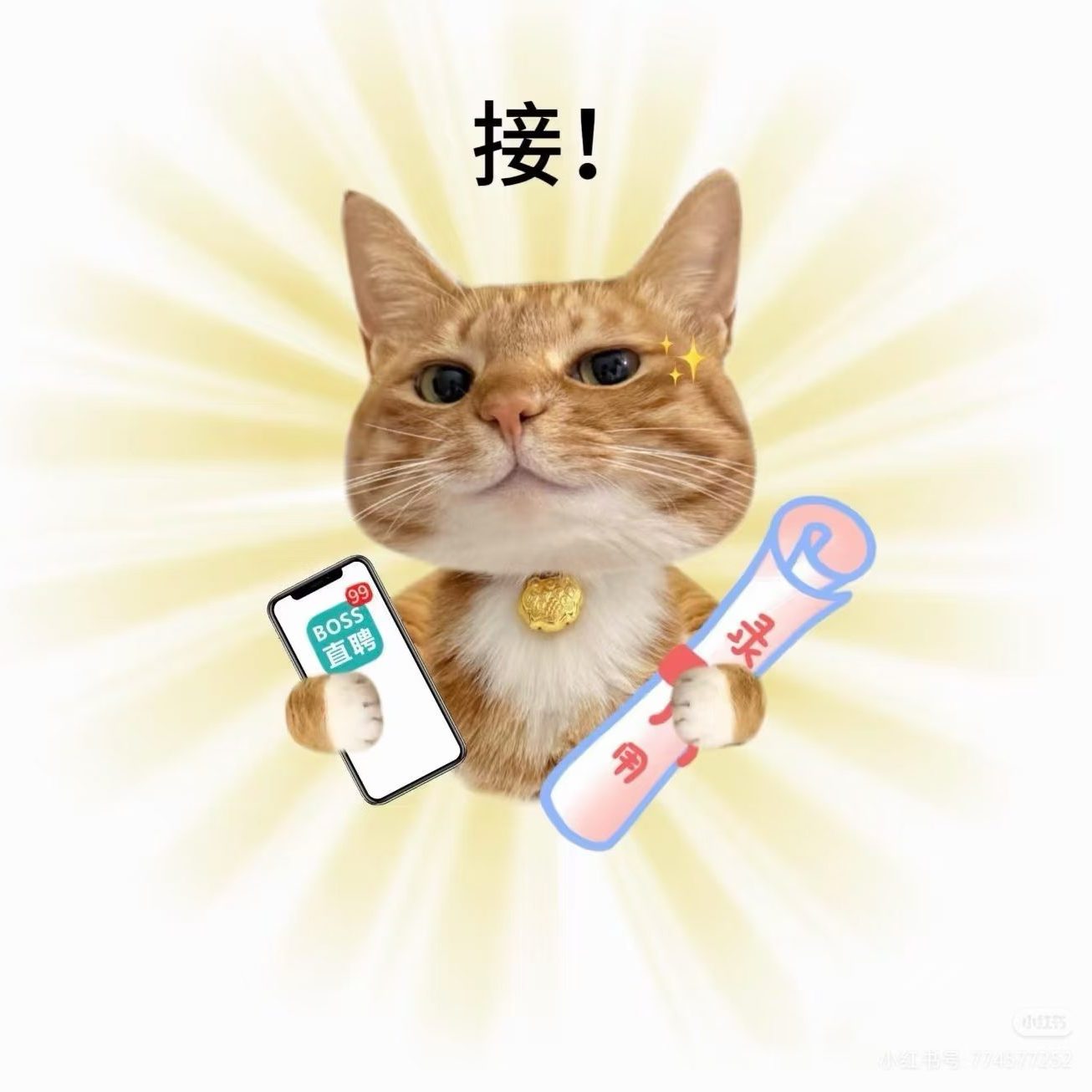 职位发布者头像