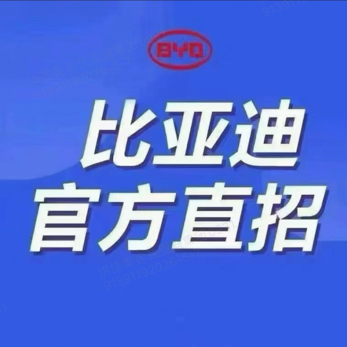 职位发布者头像
