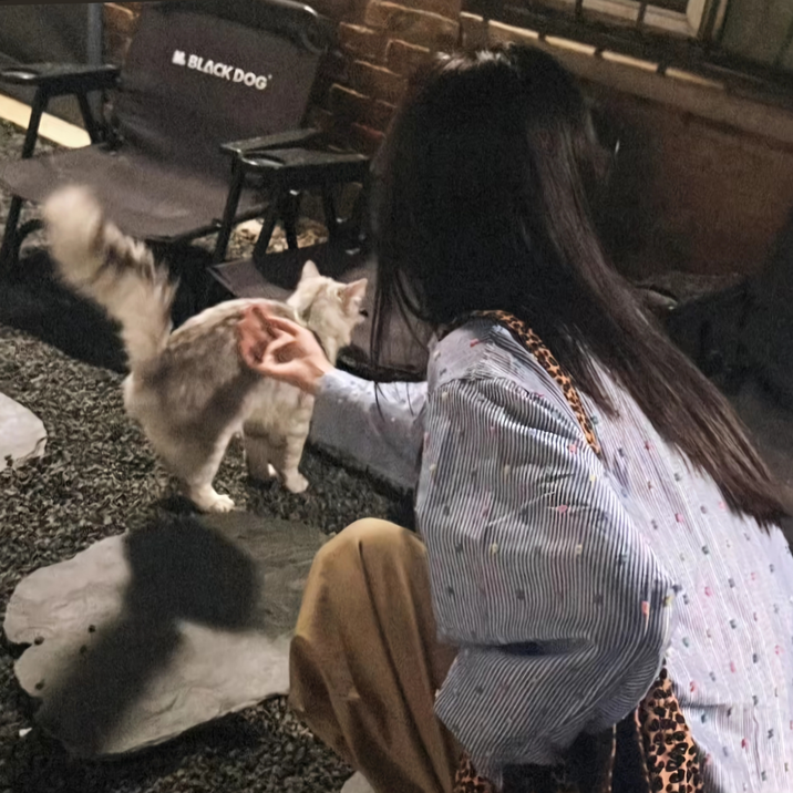 职位发布者头像