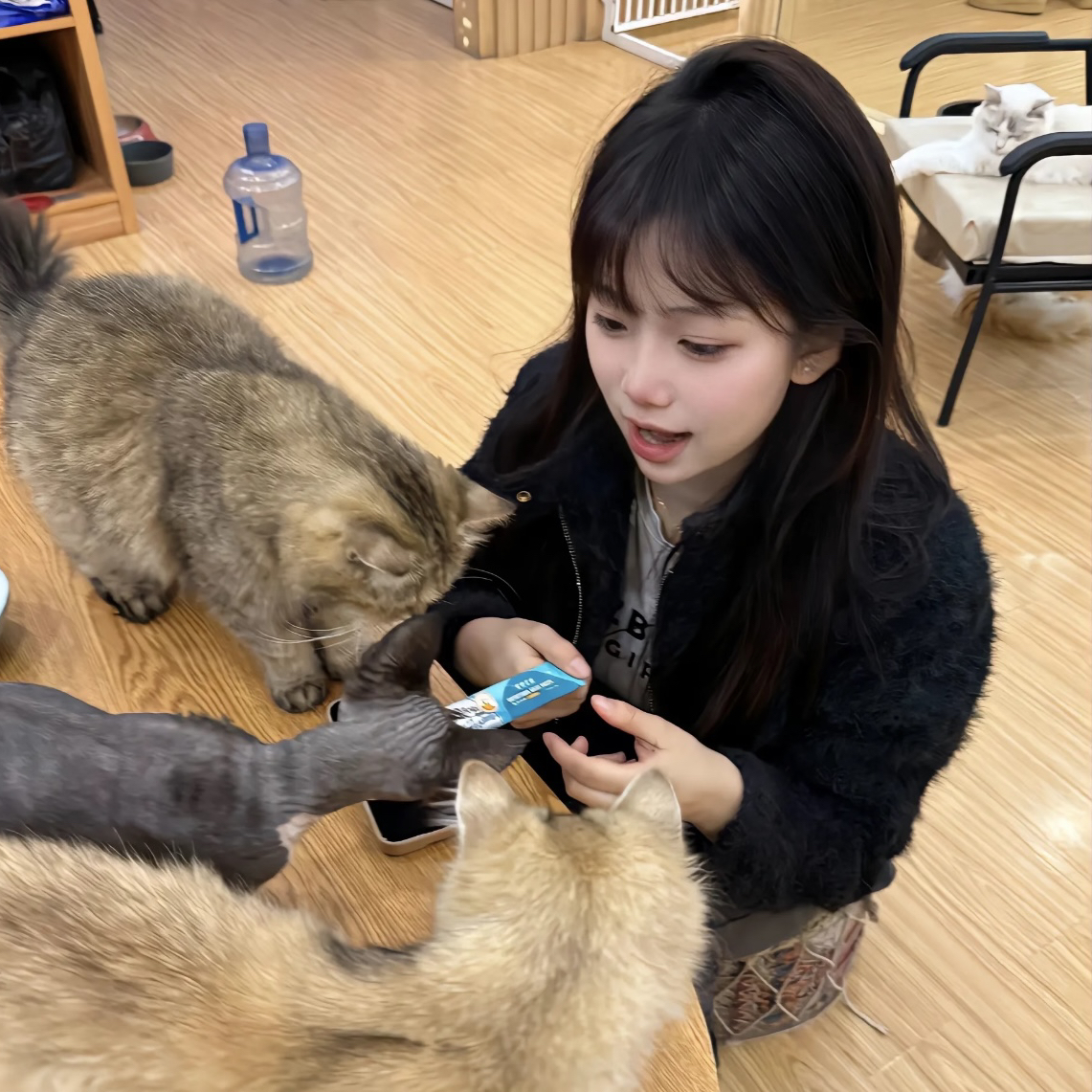 职位发布者头像