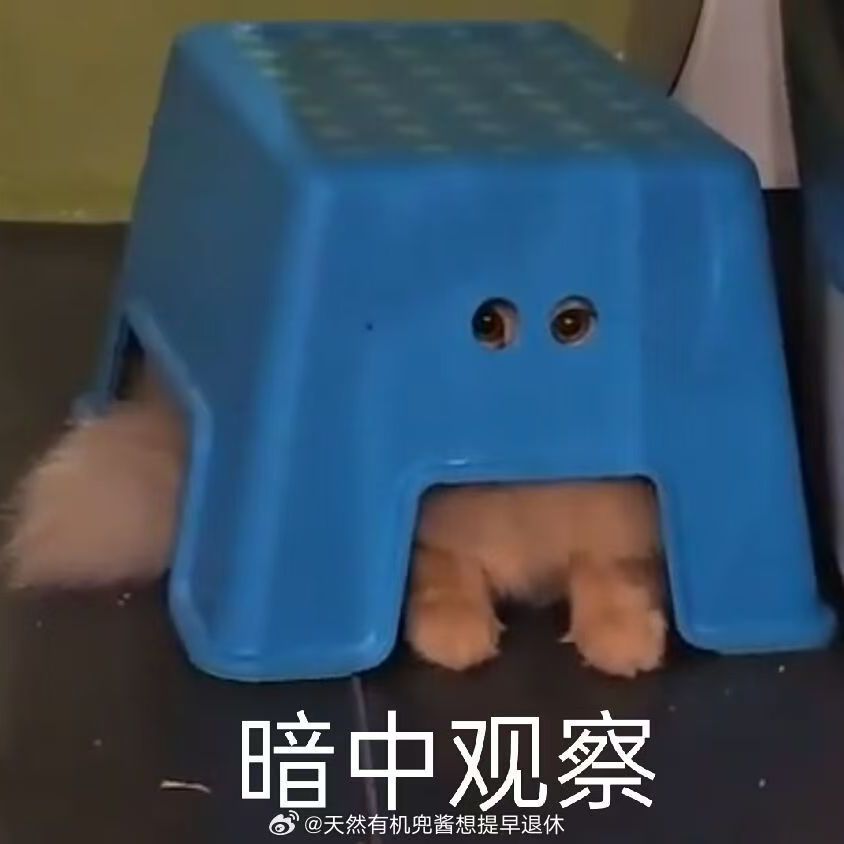 职位发布者头像