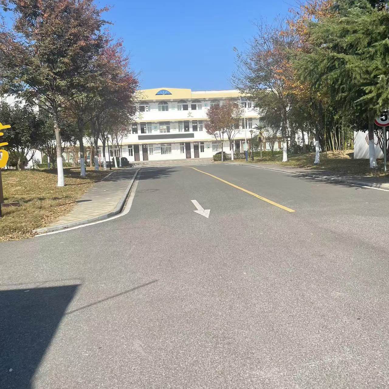 职位发布者头像