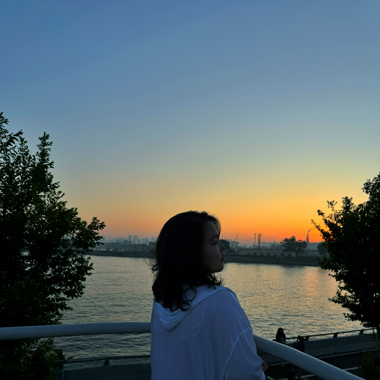 职位发布者头像