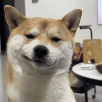 职位发布者头像